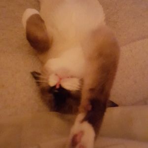 Meet your Posher, Mary j